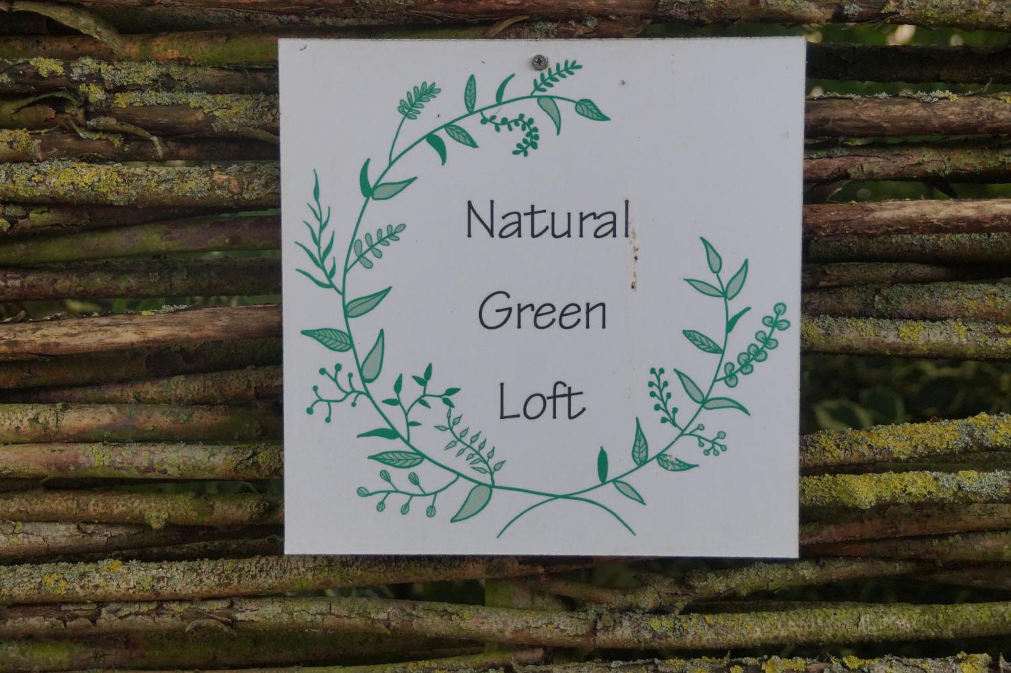 Natural Green Loft Bergen Eksteriør billede